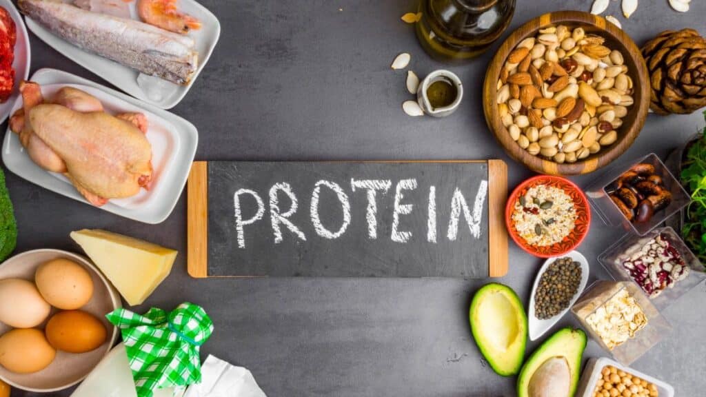 optimize-protein-intake